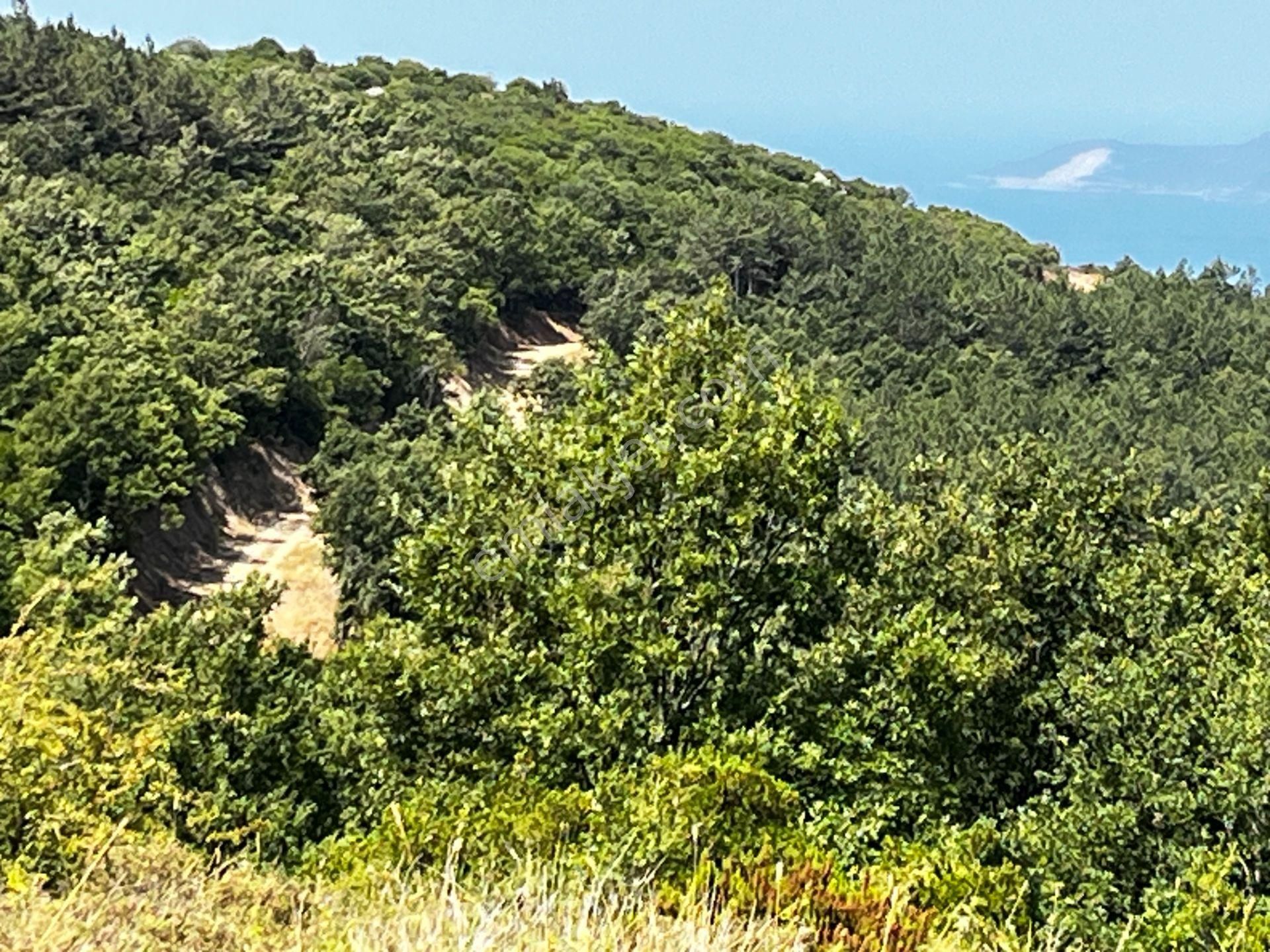 C21 Cius ; K.kumla Mah.de Deniz Manzaralı Satılık Tarla - Görsel 4