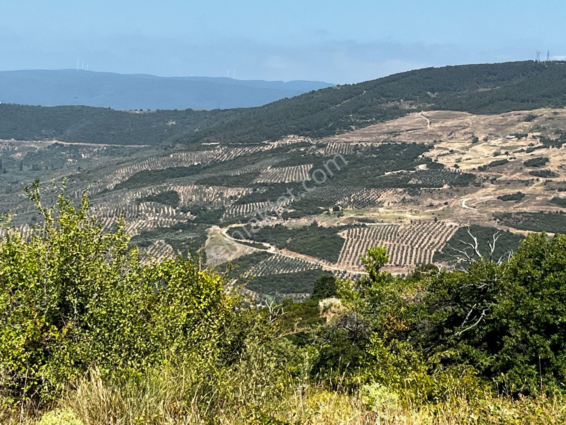 C21 Cius ; K.kumla Mah.de Deniz Manzaralı Satılık Tarla - Görsel 6