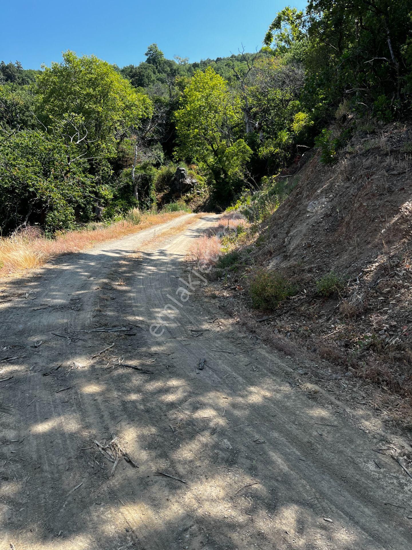 C21 Cius ; K.kumla Mah.de Deniz Manzaralı Satılık Tarla - Görsel 2