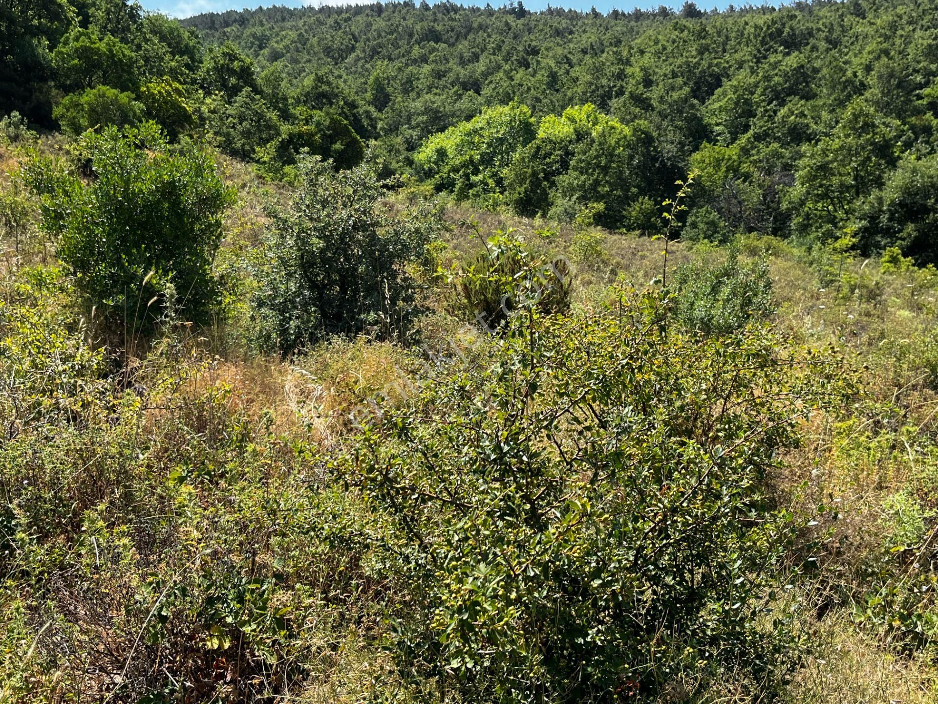 C21 Cius ; K.kumla Mah.de Deniz Manzaralı Satılık Tarla - Görsel 11