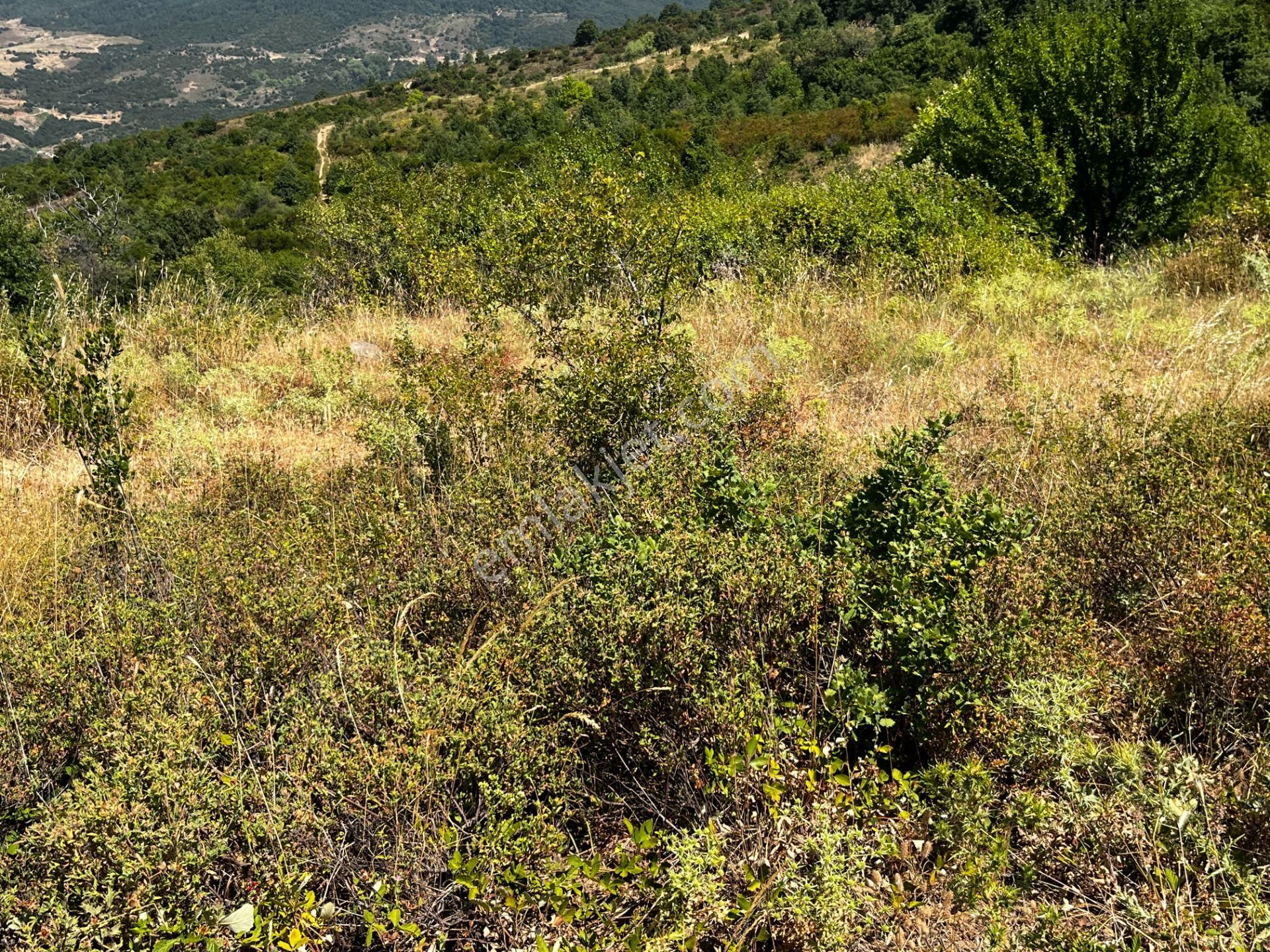 C21 Cius ; K.kumla Mah.de Deniz Manzaralı Satılık Tarla - Görsel 16