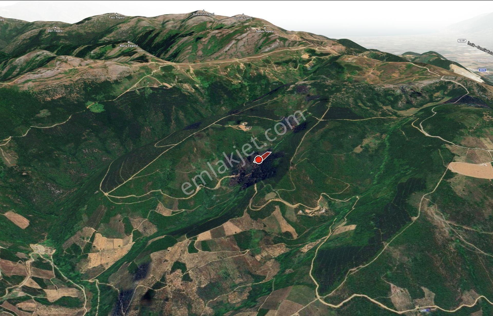 C21 Cius ; K.kumla Mah.de Deniz Manzaralı Satılık Tarla