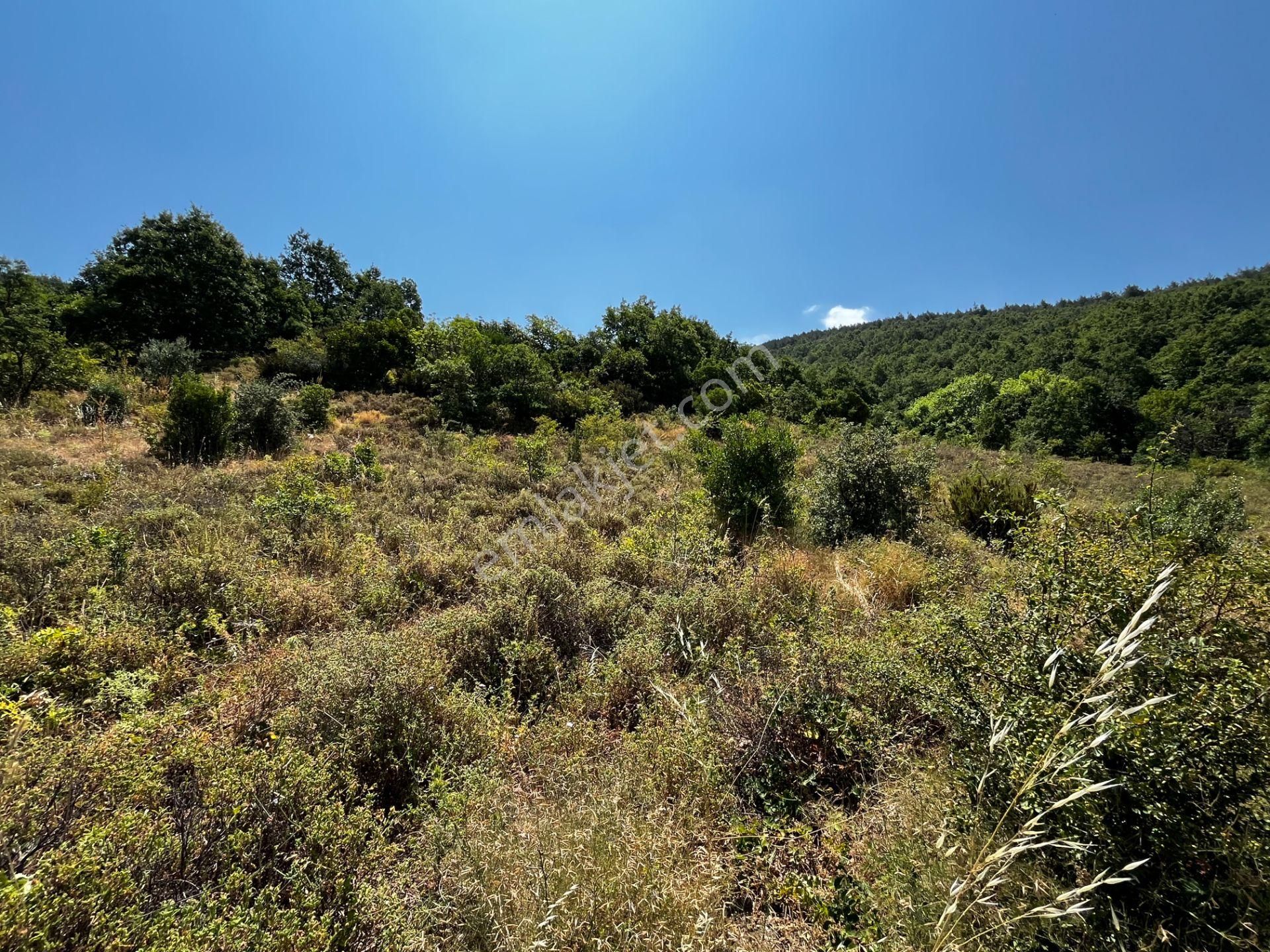C21 Cius ; K.kumla Mah.de Deniz Manzaralı Satılık Tarla - Görsel 9