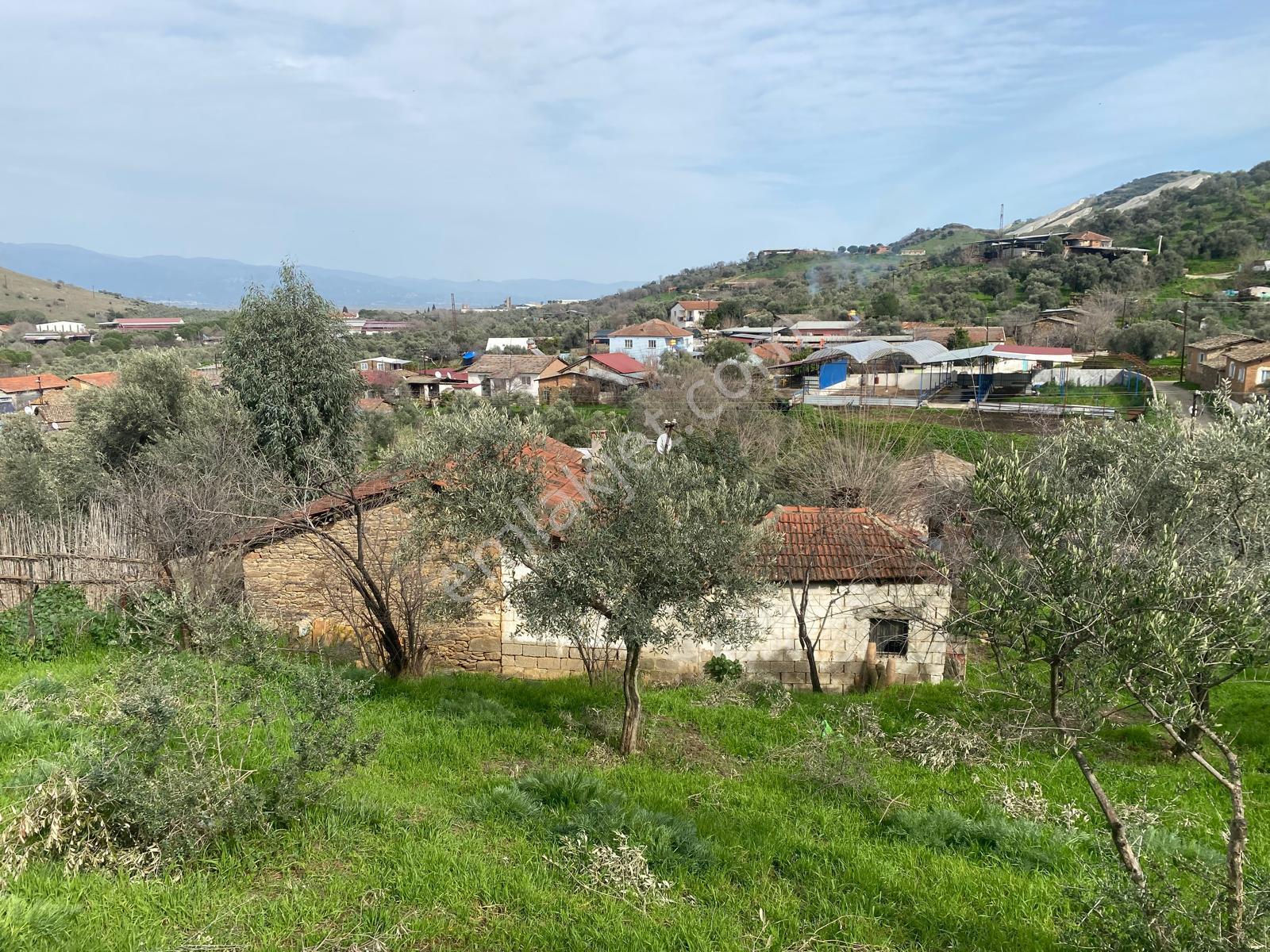 Aydın Dalama Mahallesin'de Satılık 1620 M2 Bahçe Evi - Görsel 3