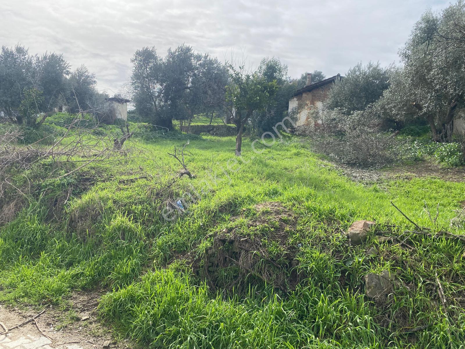 Aydın Dalama Mahallesin'de Satılık 1620 M2 Bahçe Evi - Görsel 16