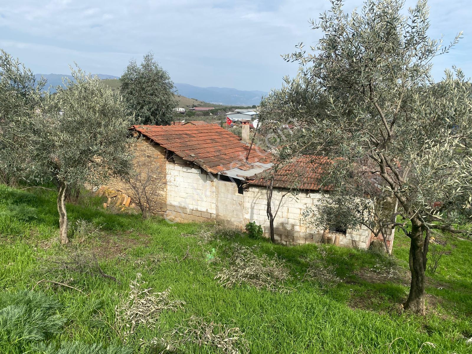 Aydın Dalama Mahallesin'de Satılık 1620 M2 Bahçe Evi - Görsel 14
