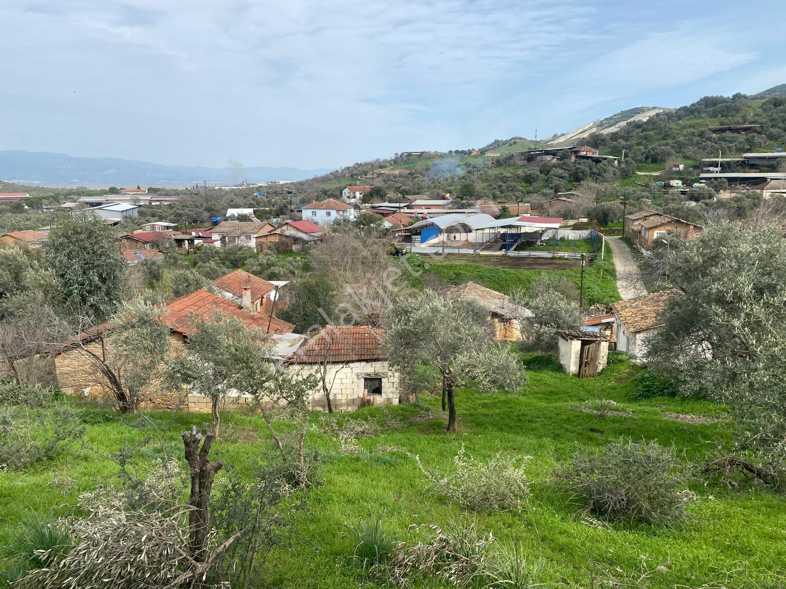 Aydın Dalama Mahallesin'de Satılık 1620 M2 Bahçe Evi - Görsel 5