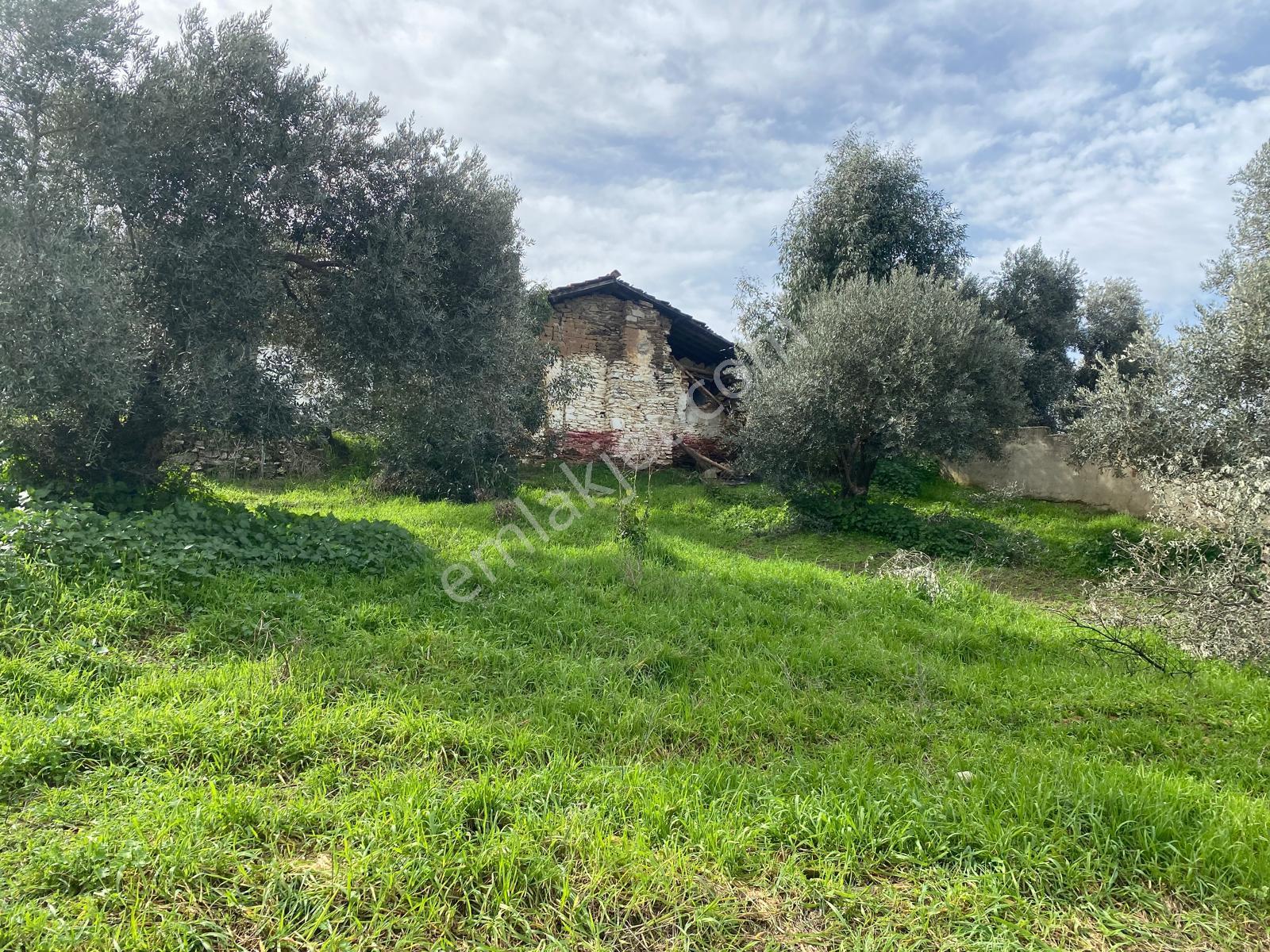 Aydın Dalama Mahallesin'de Satılık 1620 M2 Bahçe Evi - Görsel 8