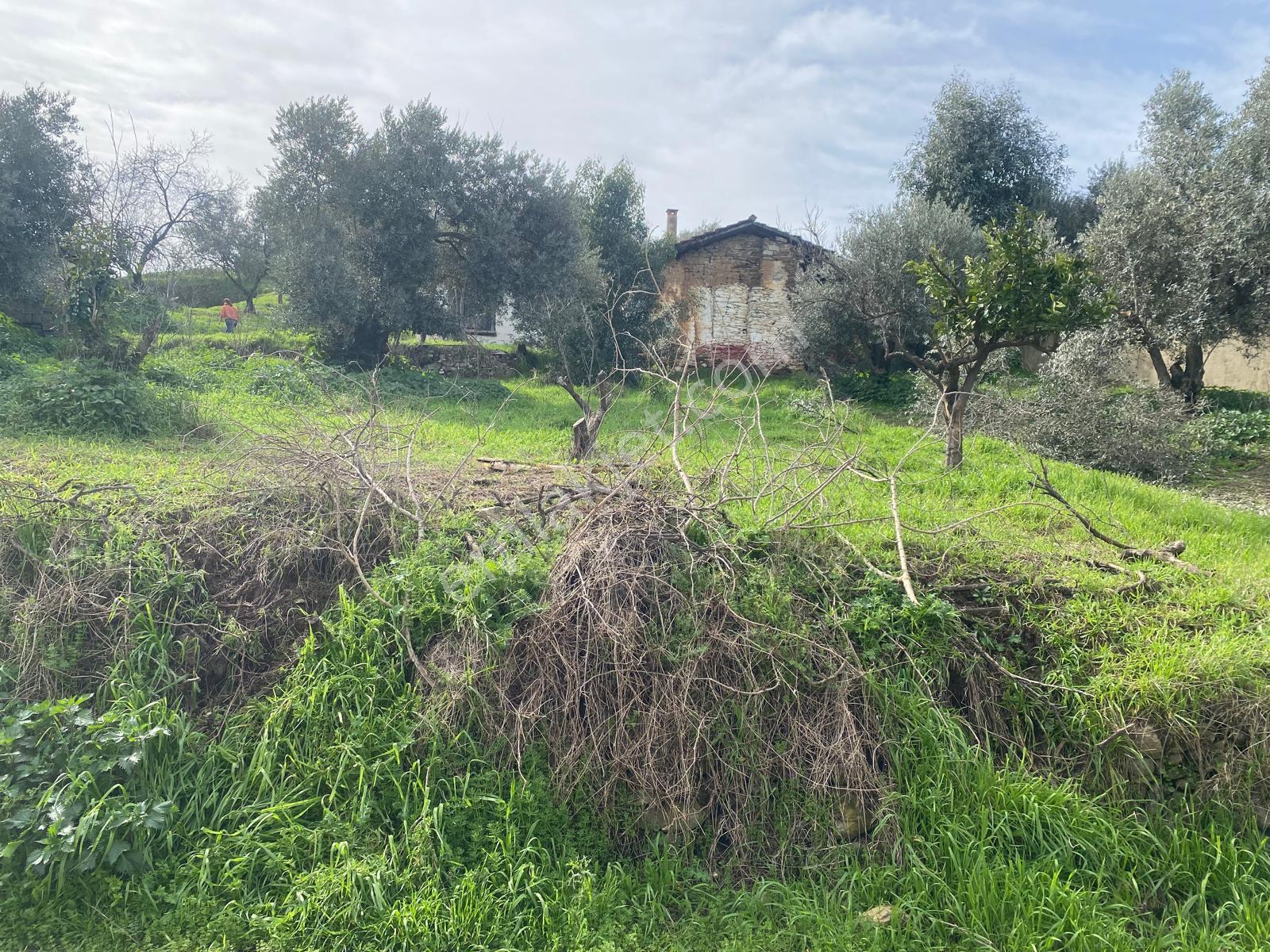 Aydın Dalama Mahallesin'de Satılık 1620 M2 Bahçe Evi - Görsel 15