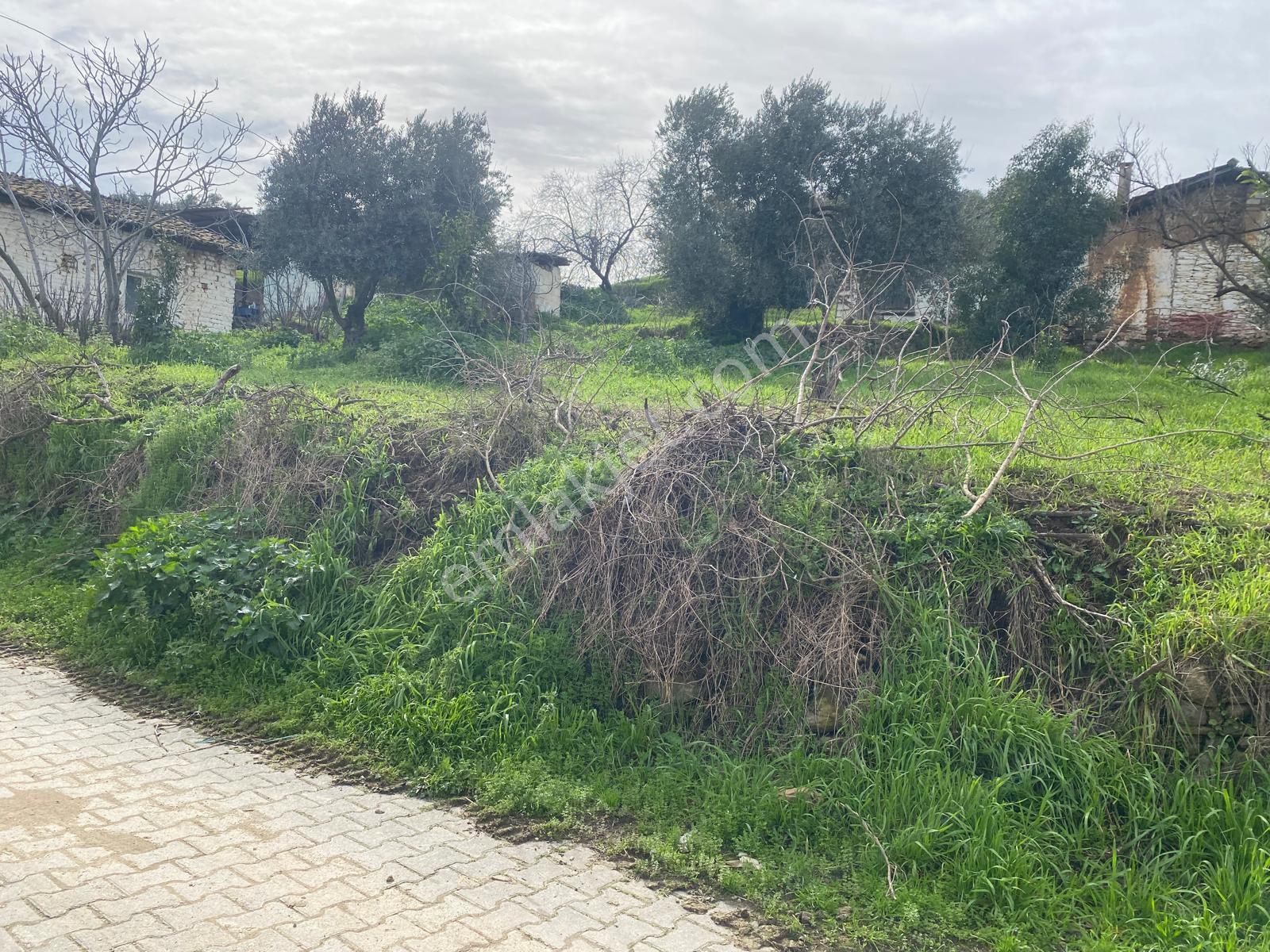 Aydın Dalama Mahallesin'de Satılık 1620 M2 Bahçe Evi - Görsel 11