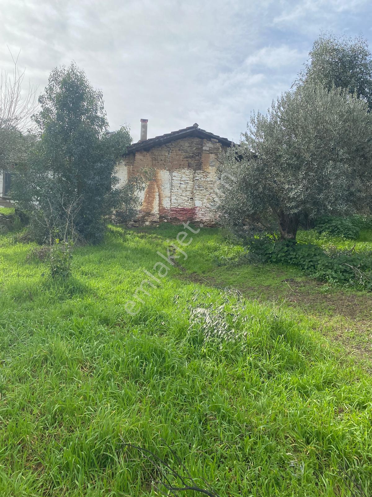 Aydın Dalama Mahallesin'de Satılık 1620 M2 Bahçe Evi - Görsel 19