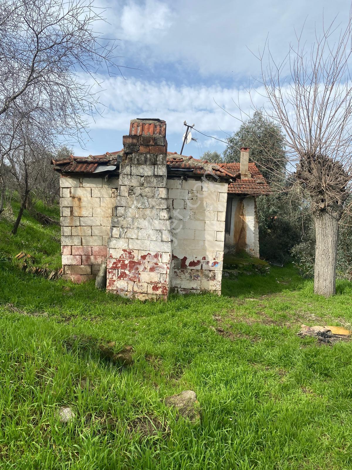 Aydın Dalama Mahallesin'de Satılık 1620 M2 Bahçe Evi - Görsel 27