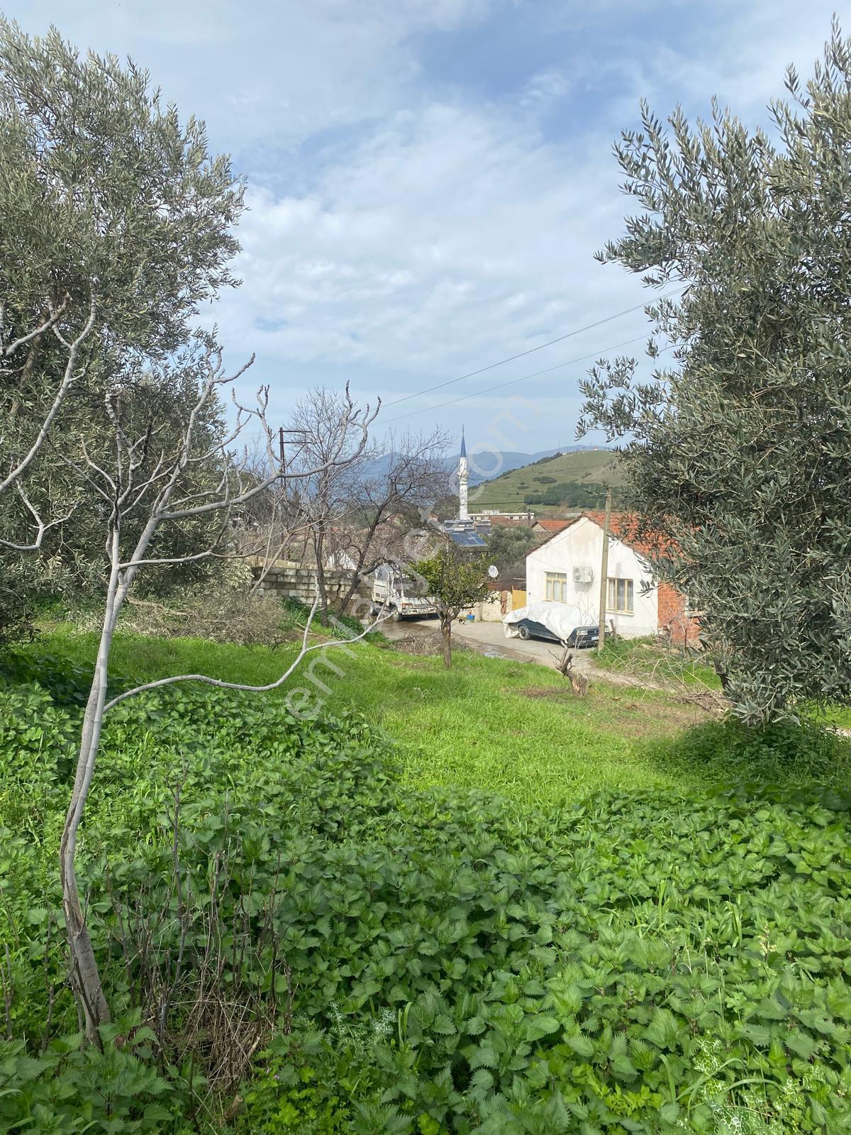 Aydın Dalama Mahallesin'de Satılık 1620 M2 Bahçe Evi - Görsel 25