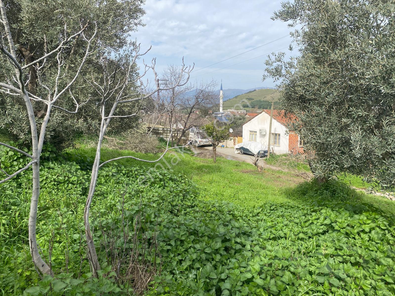 Aydın Dalama Mahallesin'de Satılık 1620 M2 Bahçe Evi - Görsel 24