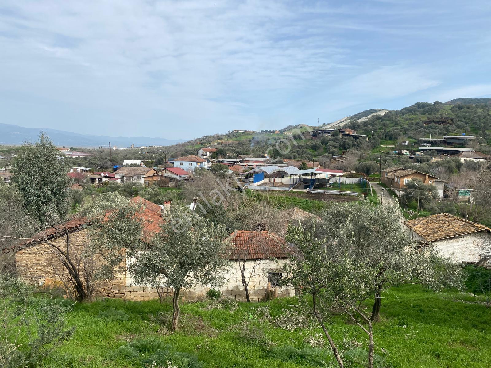 Aydın Dalama Mahallesin'de Satılık 1620 M2 Bahçe Evi - Görsel 6