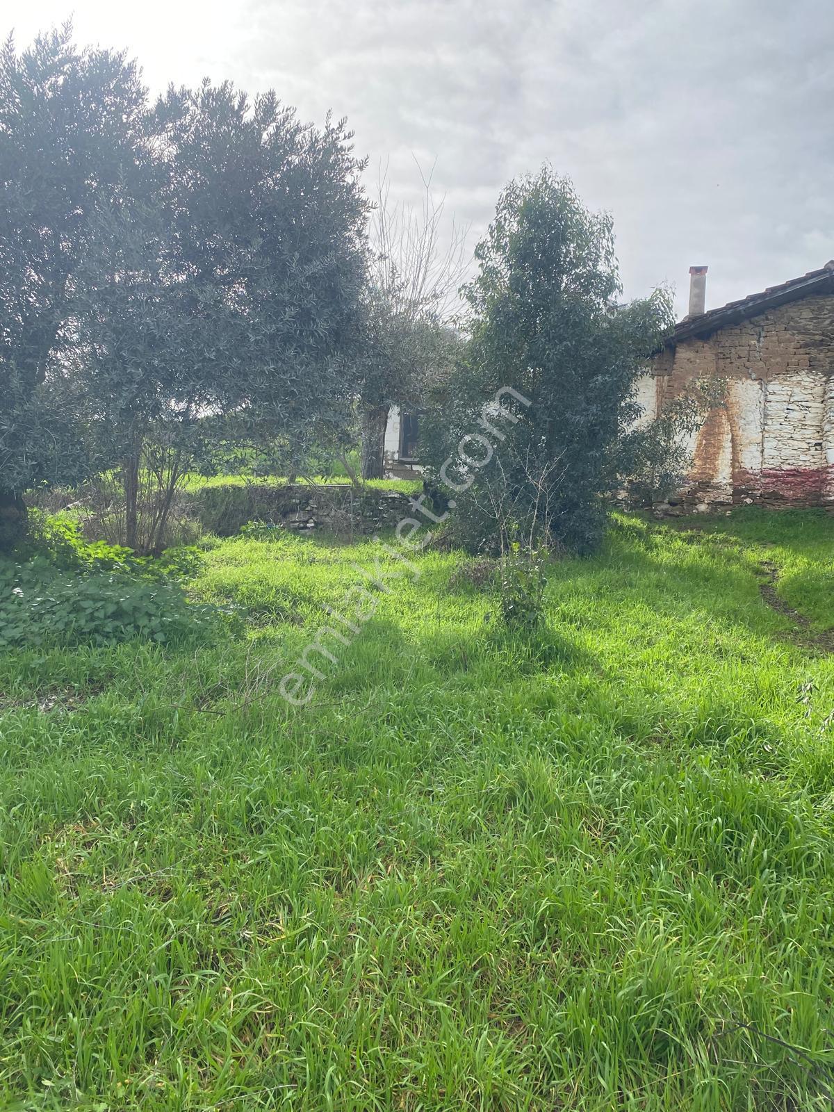 Aydın Dalama Mahallesin'de Satılık 1620 M2 Bahçe Evi - Görsel 21