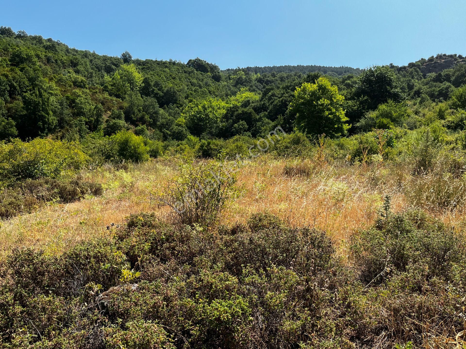 C21 Cius ; K.kumla Mah.de Deniz Manzaralı Satılık Tarla - Görsel 11