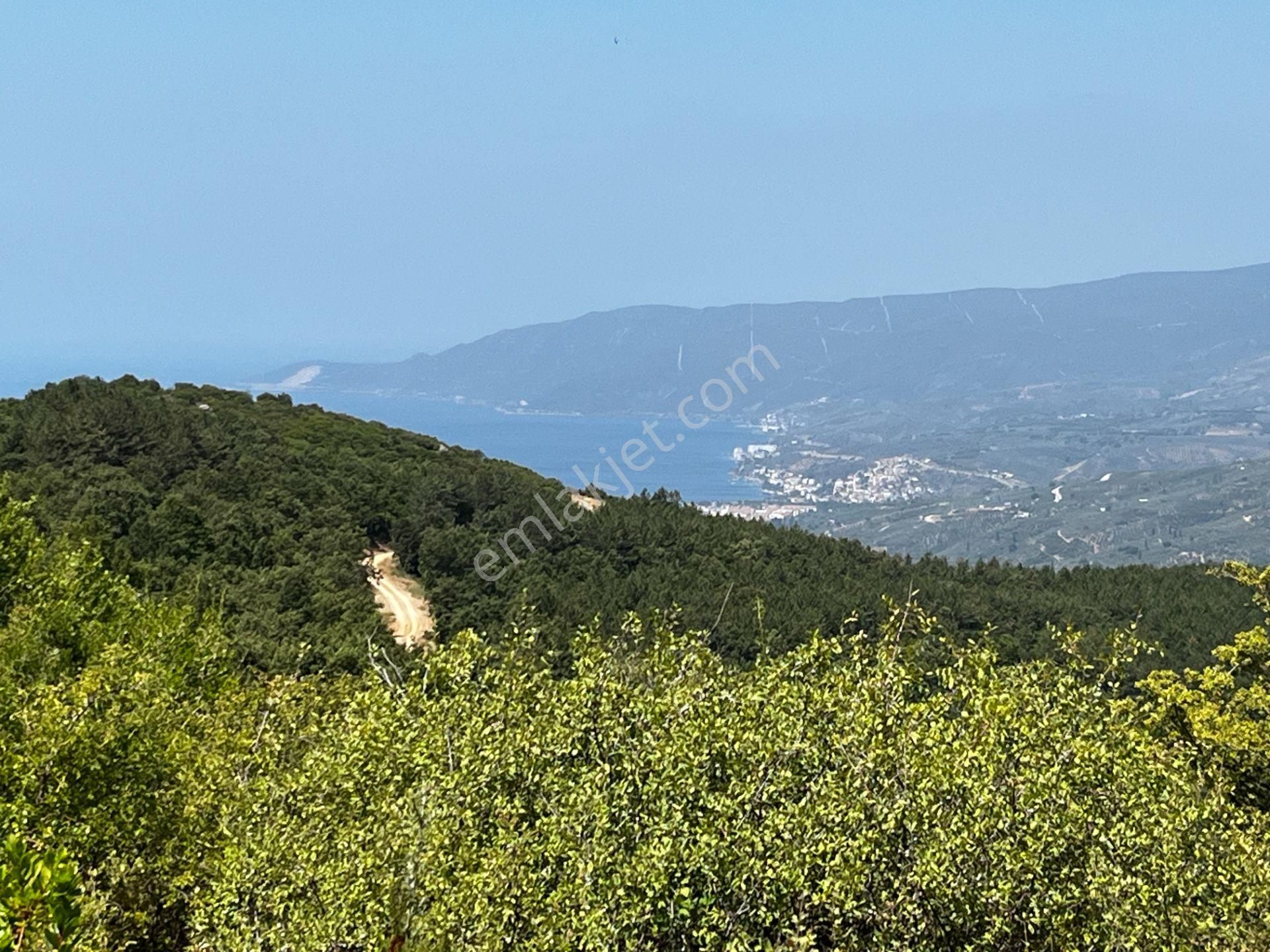 C21 Cius ; K.kumla Mah.de Deniz Manzaralı Satılık Tarla - Görsel 14