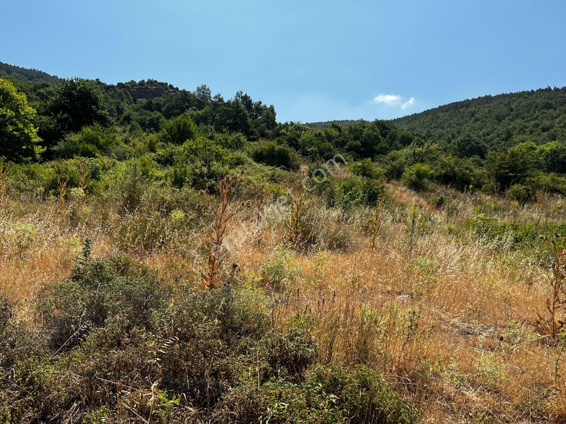 C21 Cius ; K.kumla Mah.de Deniz Manzaralı Satılık Tarla - Görsel 10