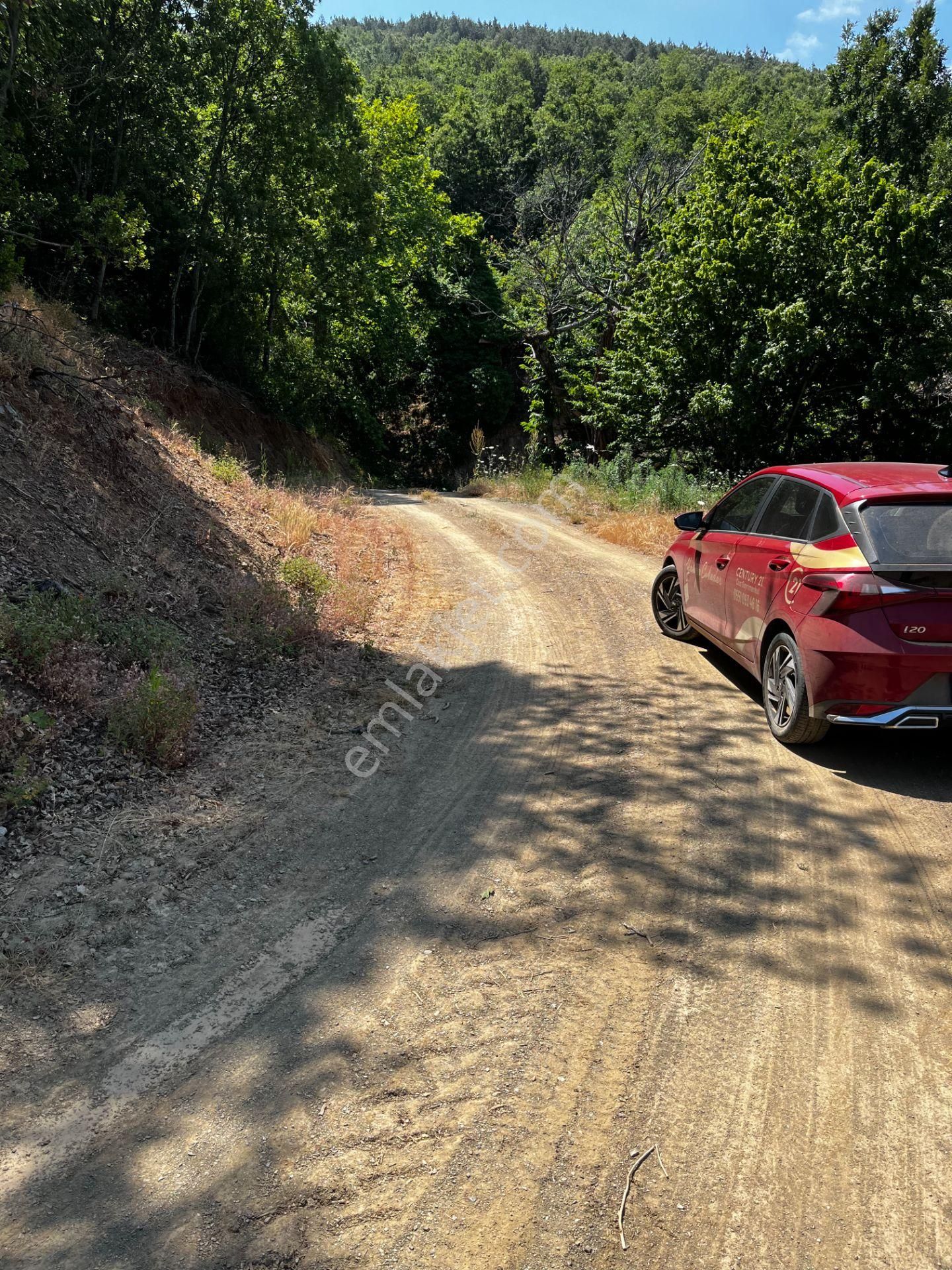C21 Cius ; K.kumla Mah.de Deniz Manzaralı Satılık Tarla - Görsel 5