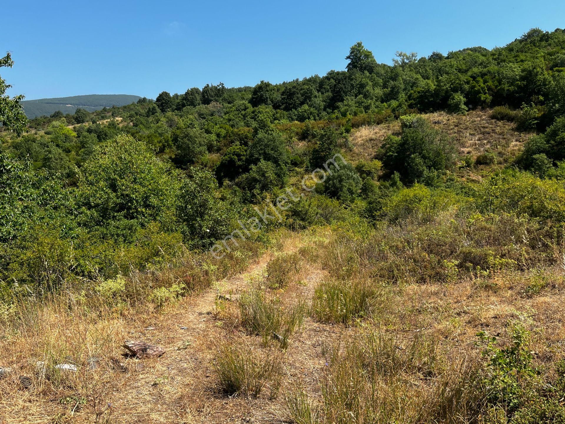 C21 Cius ; K.kumla Mah.de Deniz Manzaralı Satılık Tarla - Görsel 13