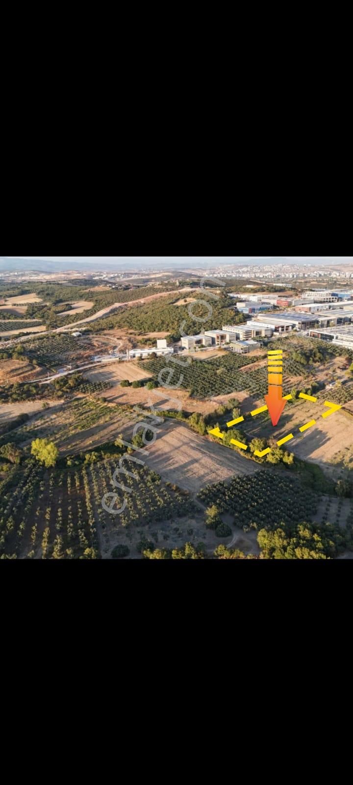 Bursa Nilüfer Akçalarda Hasanağa Osb Yanı Başında Satılık Tarla - Görsel 6