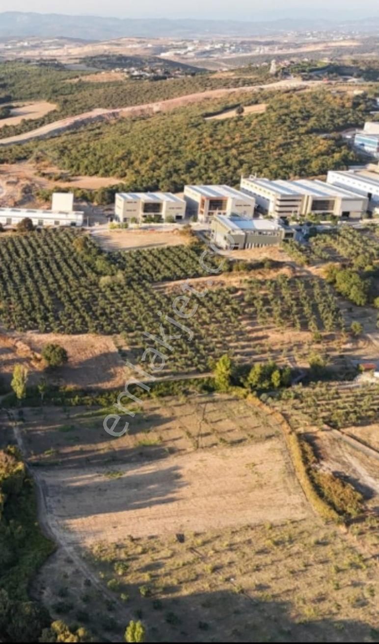 Bursa Nilüfer Akçalarda Hasanağa Osb Yanı Başında Satılık Tarla