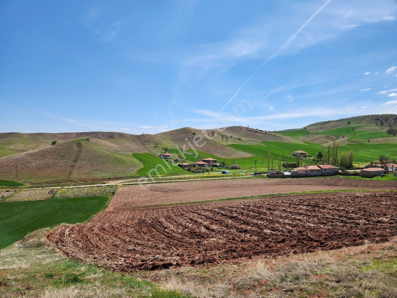 Kırıkkale Sulakyurt 5103 M2 Köyiçi 2kat İmarlı Asfalt Cephe Arsa - Görsel 15