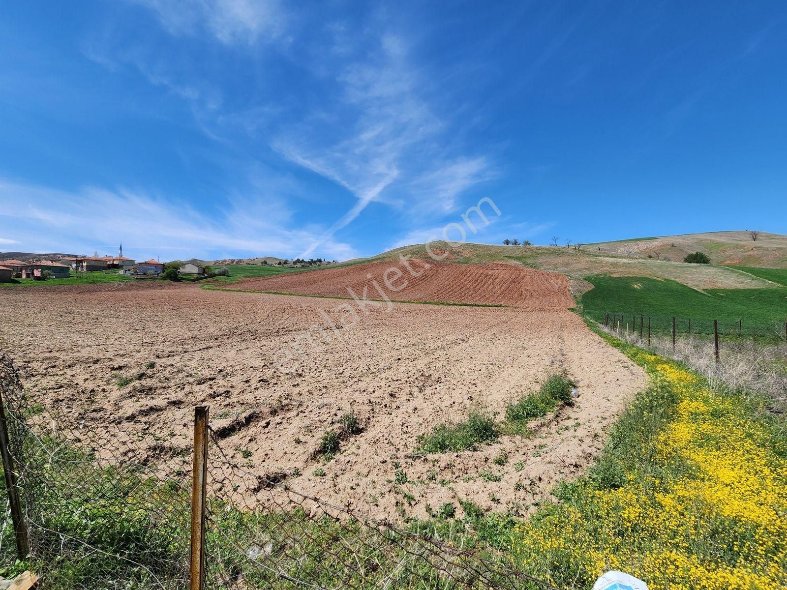 Kırıkkale Sulakyurt 5103 M2 Köyiçi 2kat İmarlı Asfalt Cephe Arsa - Görsel 27