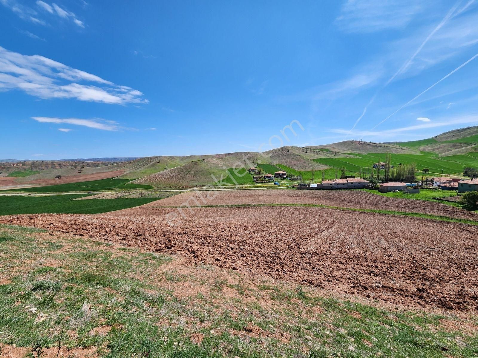 Kırıkkale Sulakyurt 5103 M2 Köyiçi 2kat İmarlı Asfalt Cephe Arsa - Görsel 7