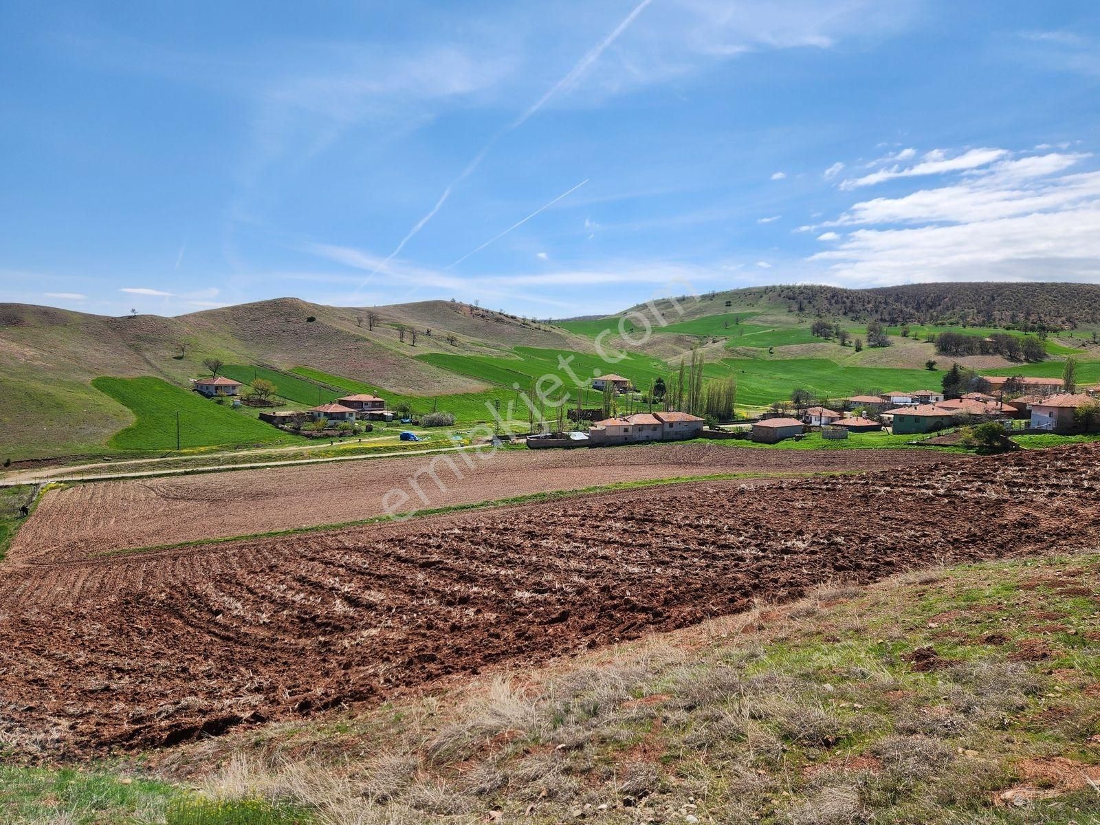 Kırıkkale Sulakyurt 5103 M2 Köyiçi 2kat İmarlı Asfalt Cephe Arsa - Görsel 29