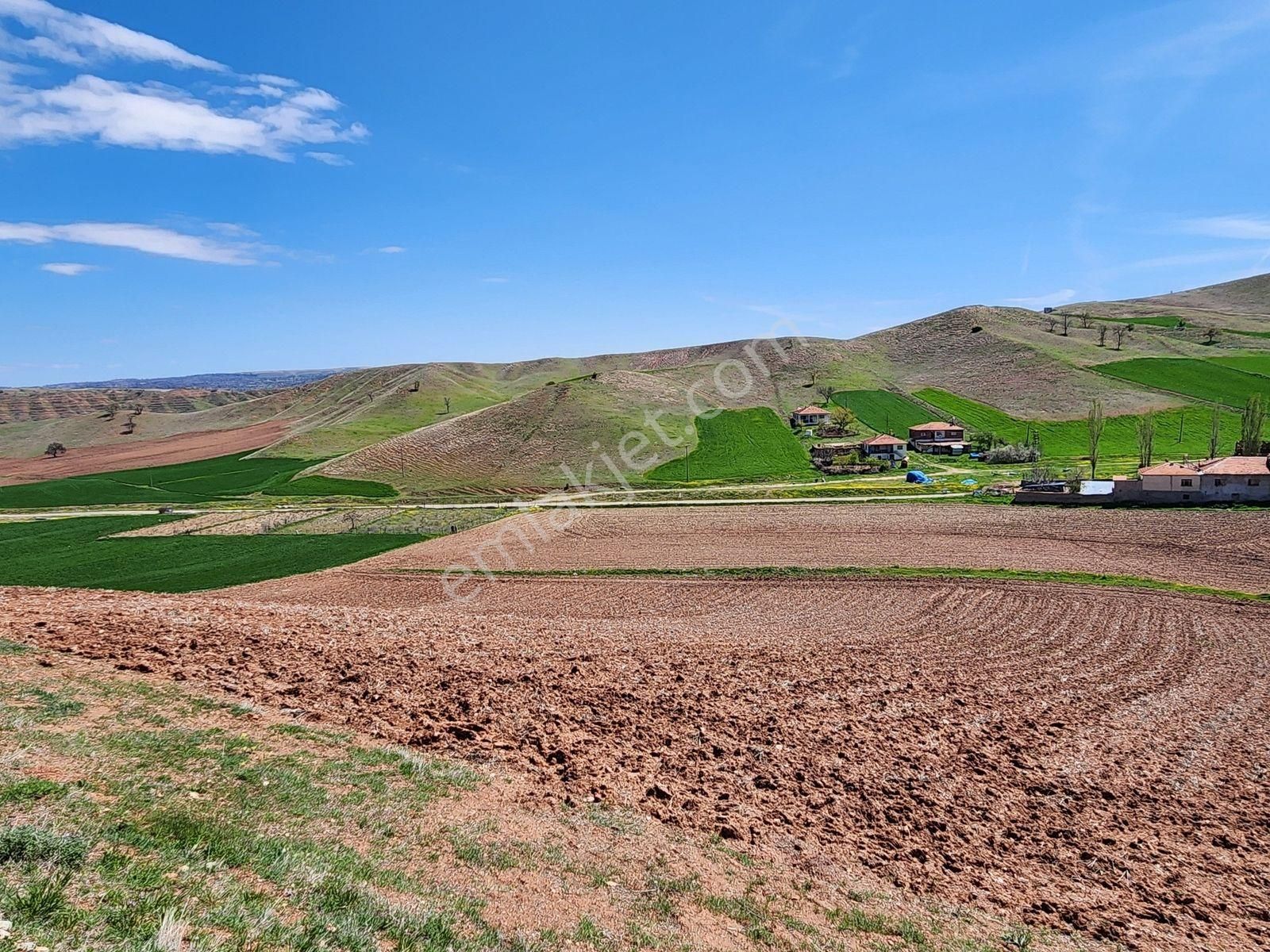 Kırıkkale Sulakyurt 5103 M2 Köyiçi 2kat İmarlı Asfalt Cephe Arsa - Görsel 8