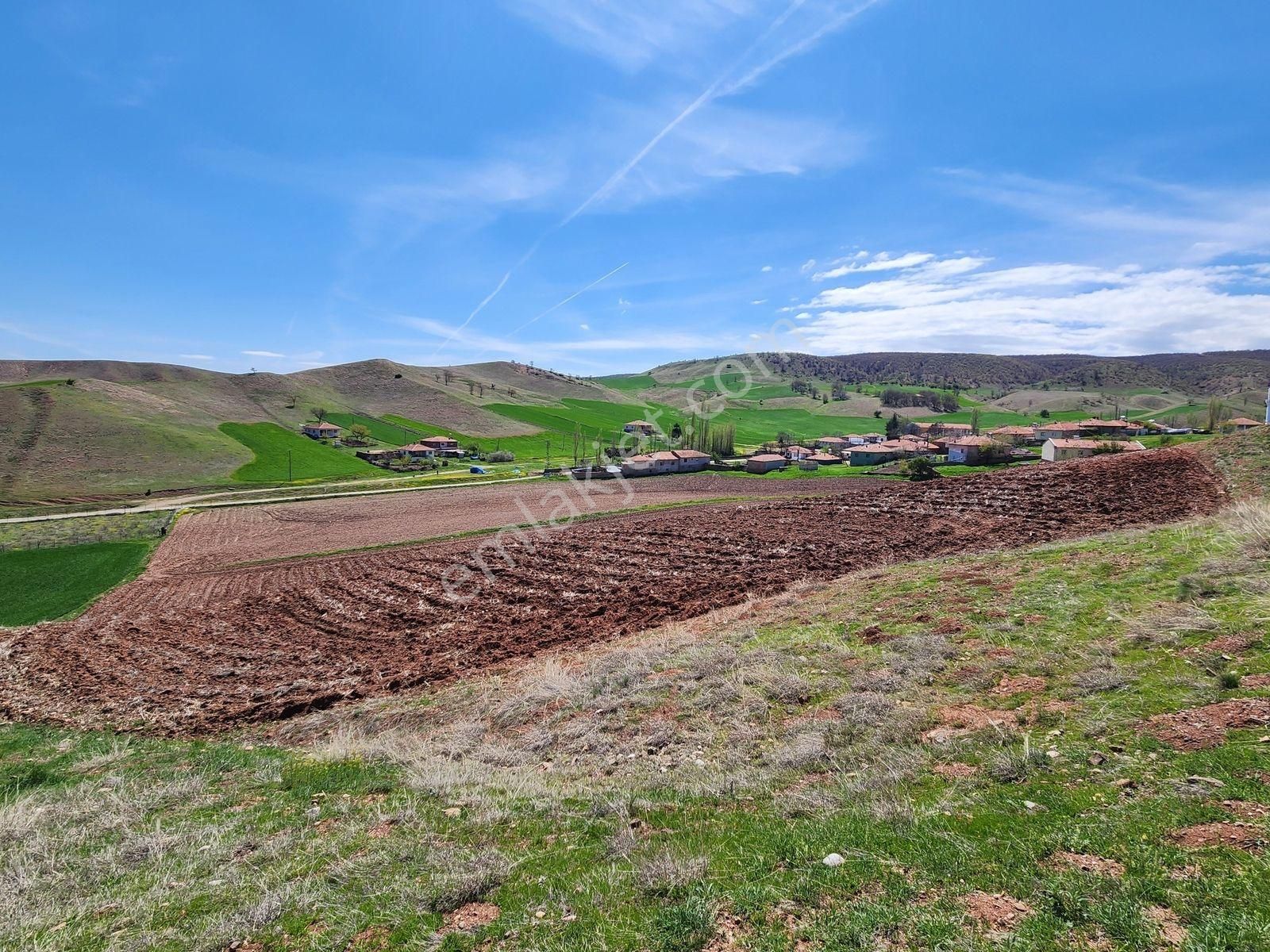 Kırıkkale Sulakyurt 5103 M2 Köyiçi 2kat İmarlı Asfalt Cephe Arsa - Görsel 33
