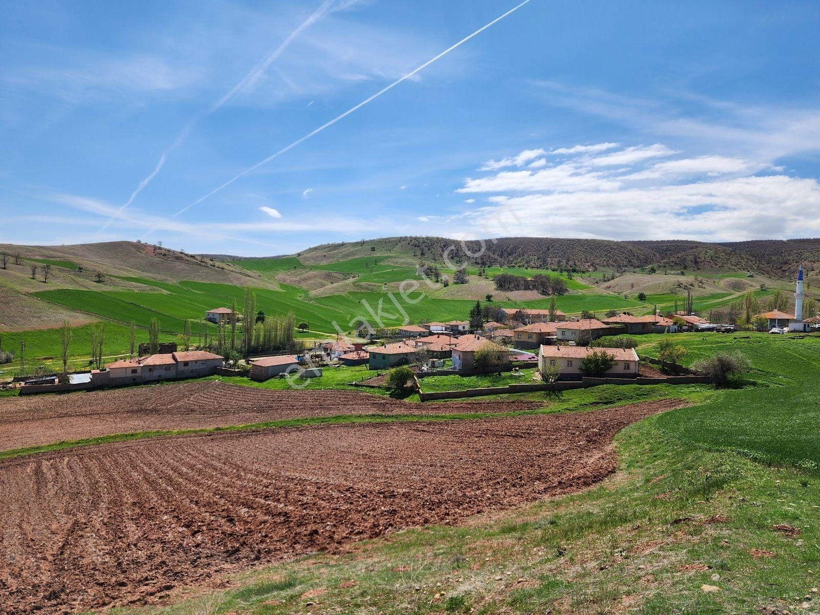 Kırıkkale Sulakyurt 5103 M2 Köyiçi 2kat İmarlı Asfalt Cephe Arsa - Görsel 20
