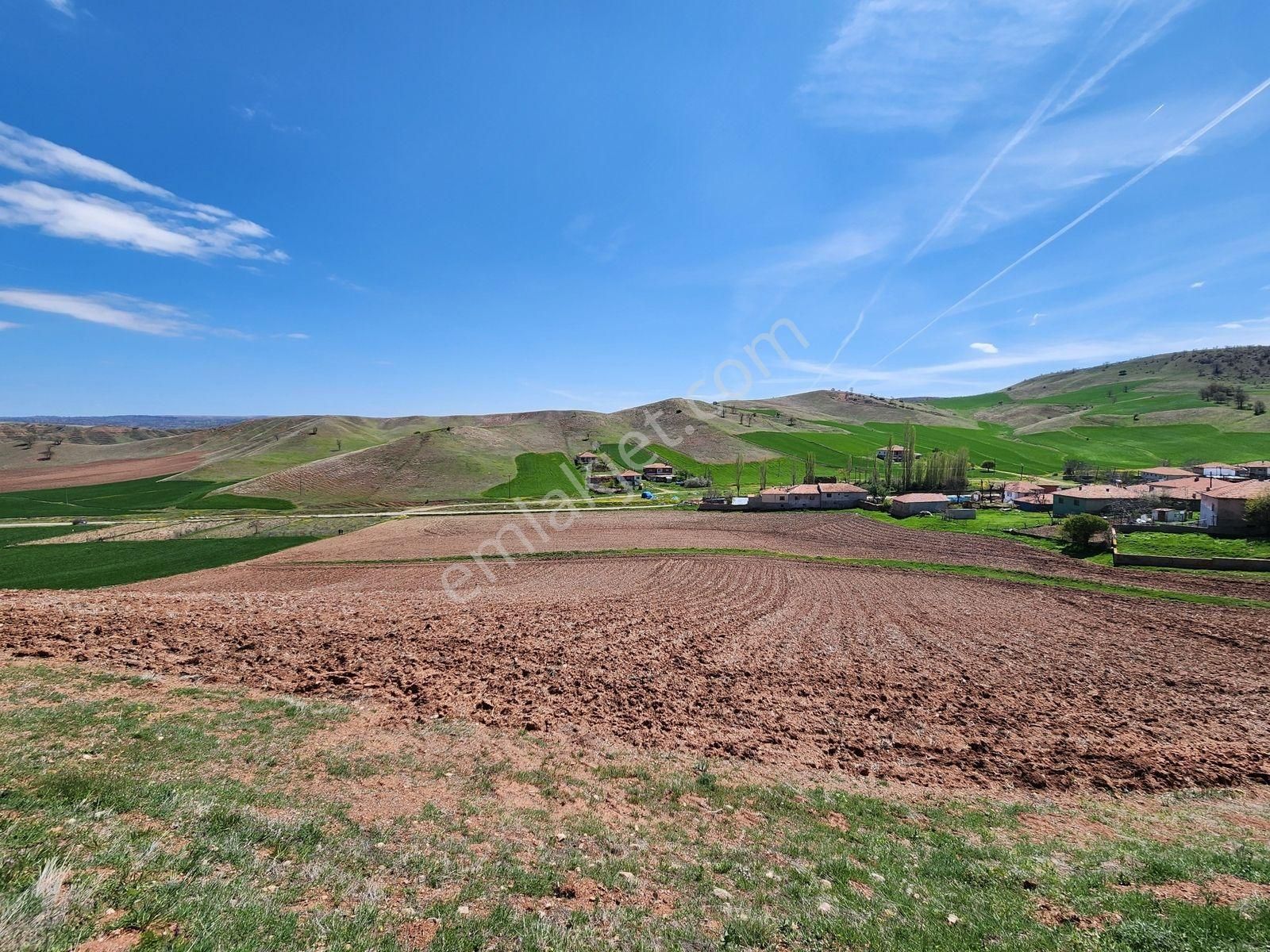 Kırıkkale Sulakyurt 5103 M2 Köyiçi 2kat İmarlı Asfalt Cephe Arsa - Görsel 21