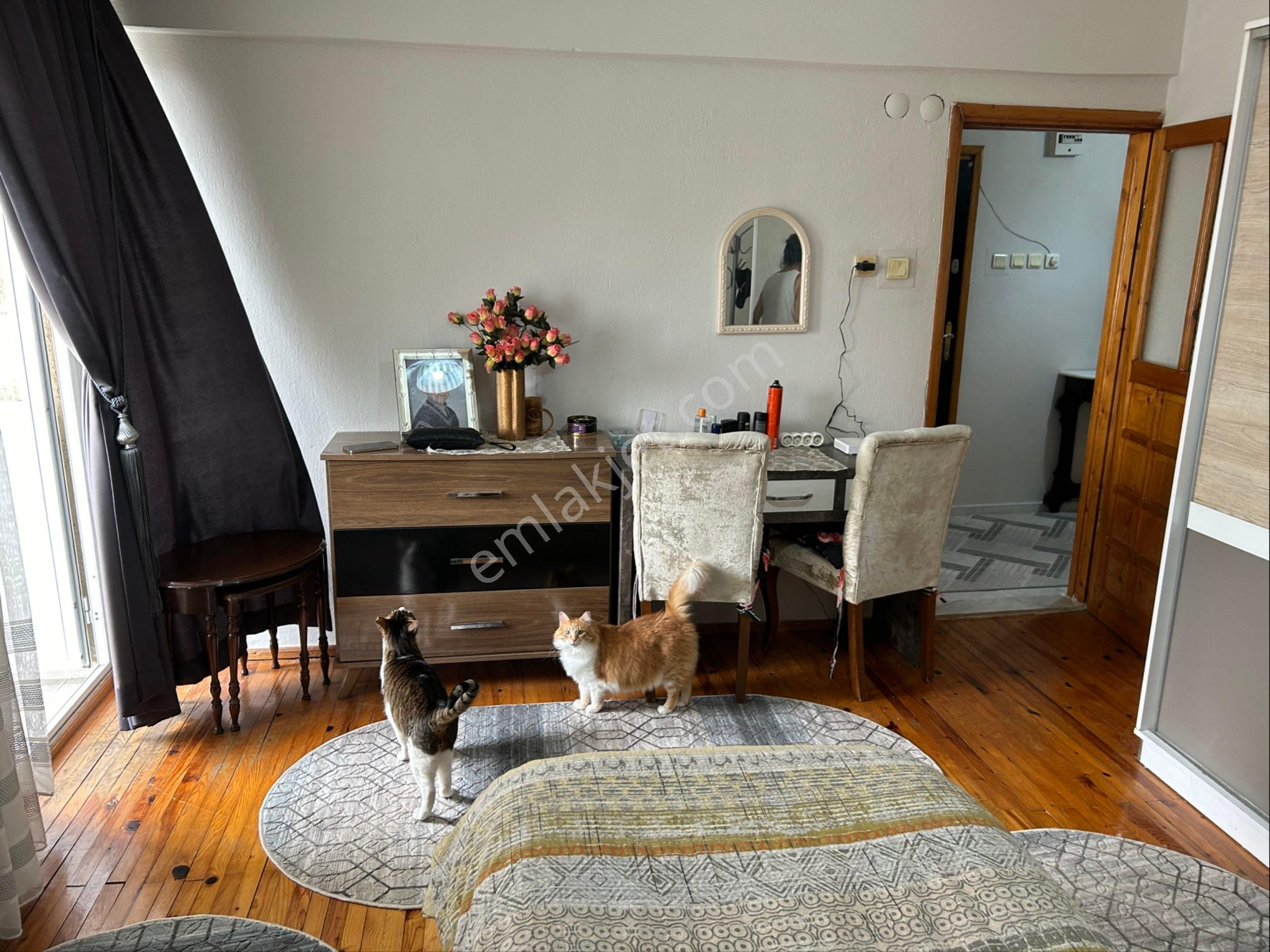 Ntgayrimenkul’den Merkezi Konumda Kelepir Satılık 3+1 Daire - Görsel 16