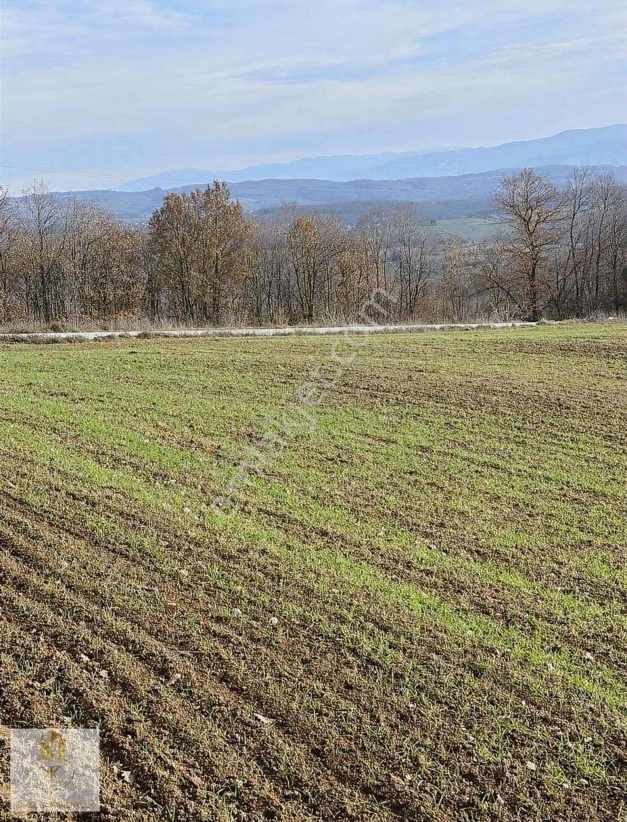 Kocaeli İzmit Dağkoyde Satılık Arazi - Görsel 11