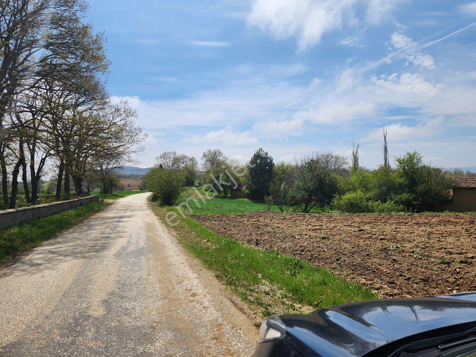 Bozüyük Merkeze 4 Km Karabayır 3289 M2 Etrafında Bağ Evleri Var - Görsel 26
