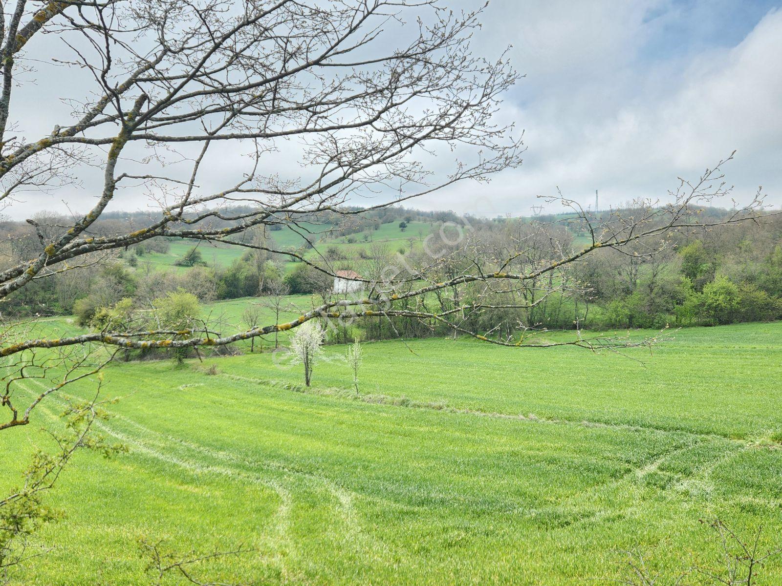 Bozüyük Merkeze 4 Km Karabayır 3289 M2 Etrafında Bağ Evleri Var - Görsel 2