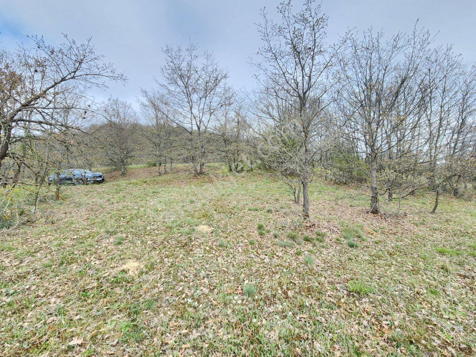 Bozüyük Merkeze 4 Km Karabayır 3289 M2 Etrafında Bağ Evleri Var - Görsel 15
