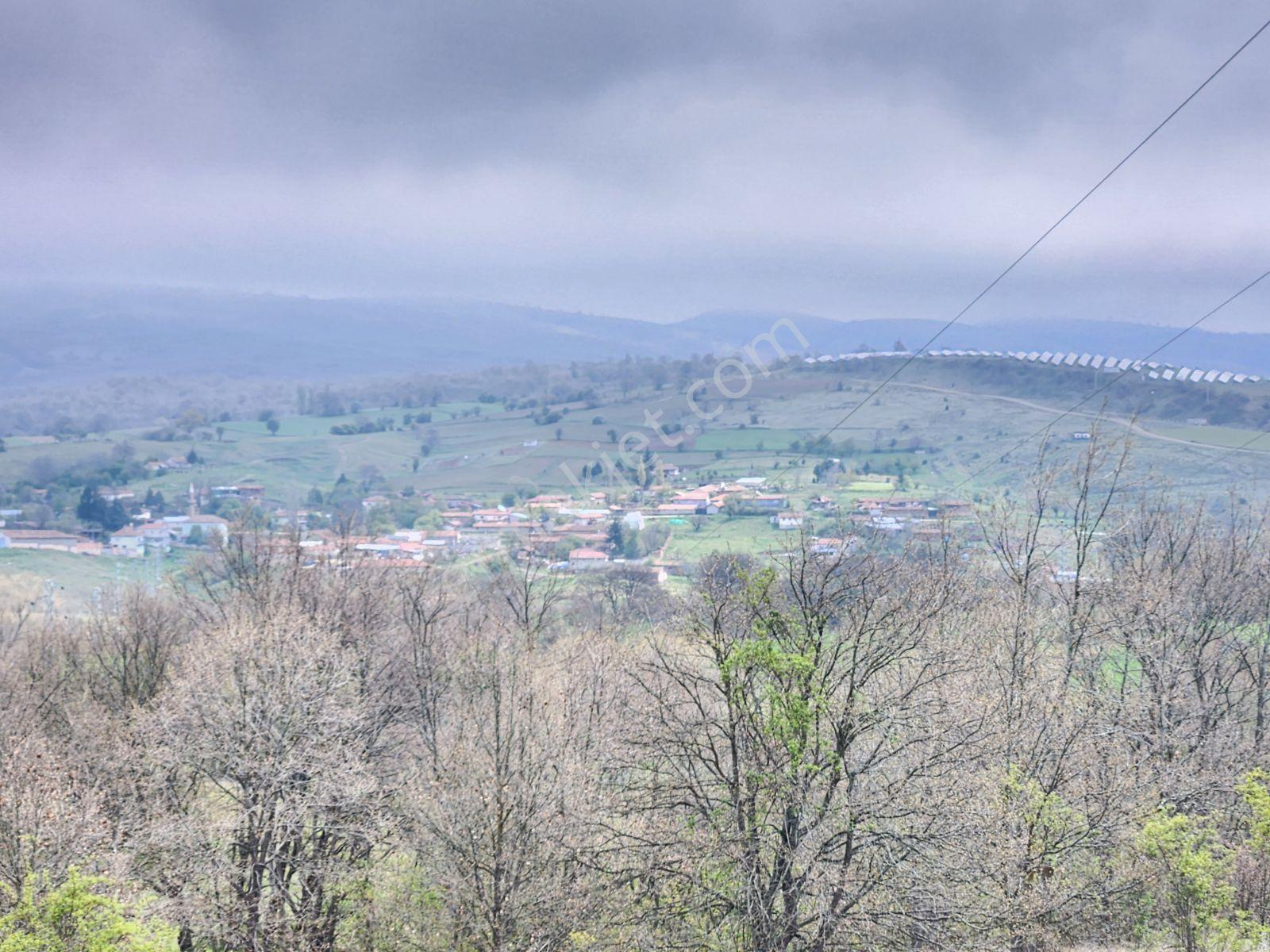 Bozüyük Merkeze 4 Km Karabayır 3289 M2 Etrafında Bağ Evleri Var - Görsel 19