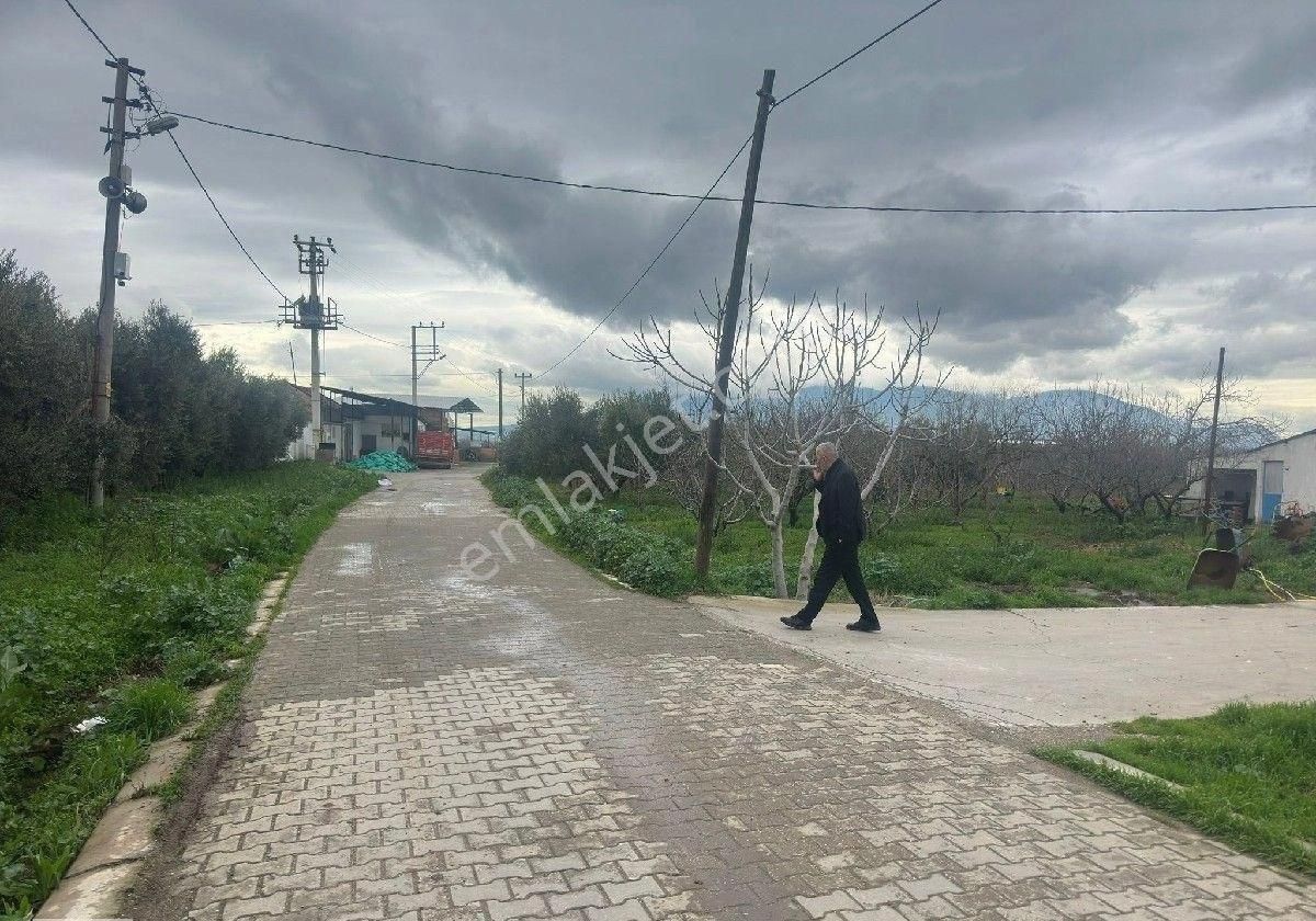 İzmir Halilbeyli Mh Elektirik Suyu Olan 16390m2 Arazi - Görsel 7