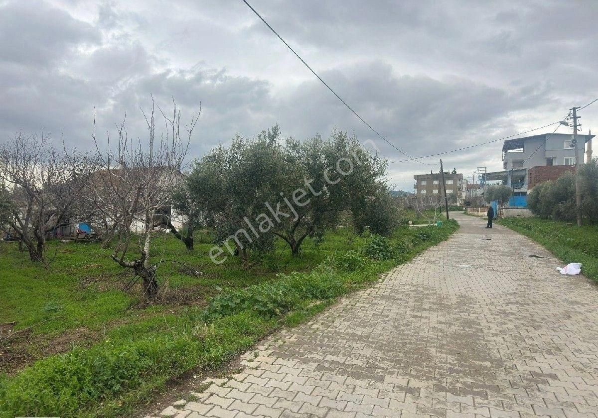 İzmir Halilbeyli Mh Elektirik Suyu Olan 16390m2 Arazi - Görsel 12