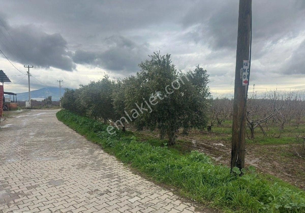 İzmir Halilbeyli Mh Elektirik Suyu Olan 16390m2 Arazi - Görsel 22