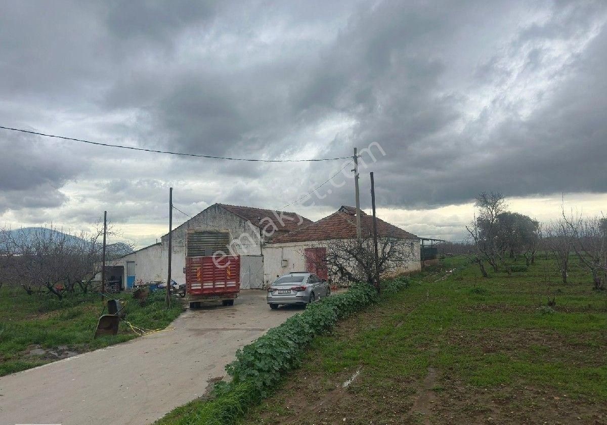 İzmir Halilbeyli Mh Elektirik Suyu Olan 16390m2 Arazi - Görsel 4