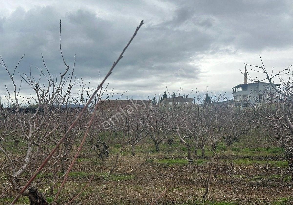 İzmir Halilbeyli Mh Elektirik Suyu Olan 16390m2 Arazi - Görsel 2