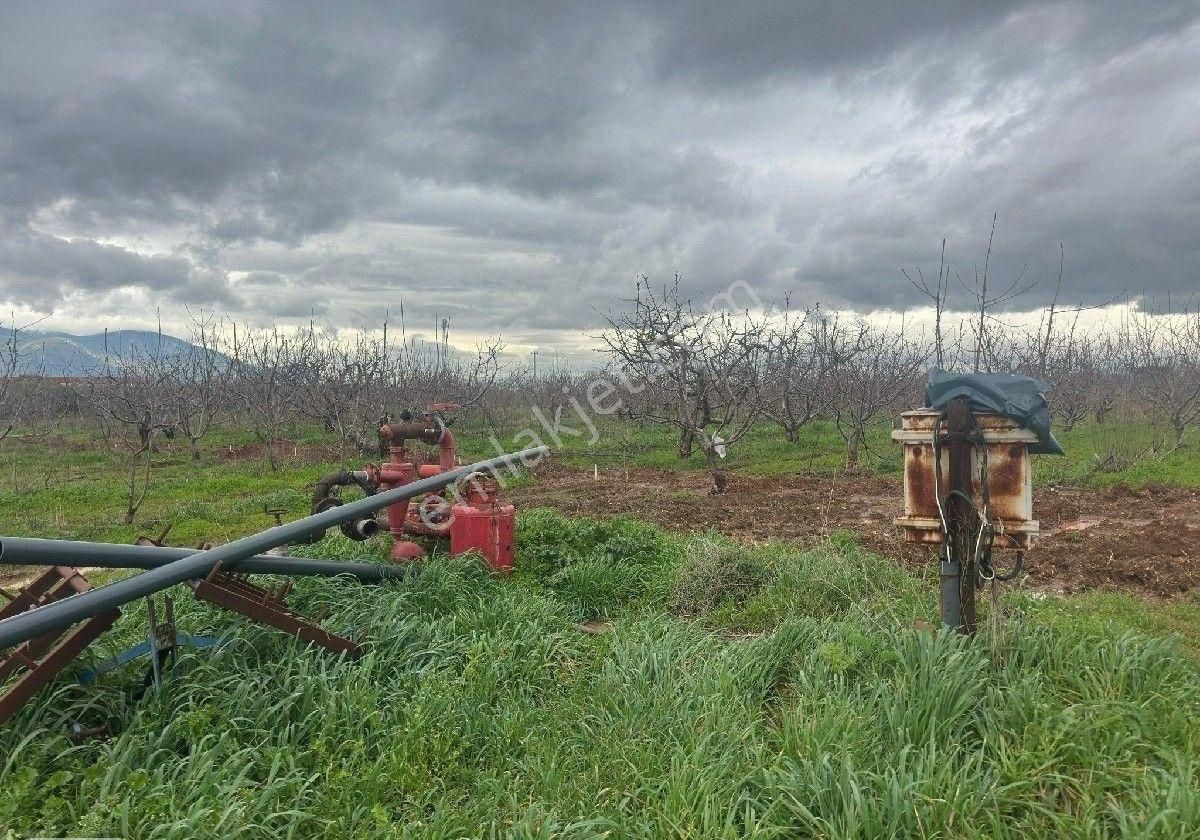 İzmir Halilbeyli Mh Elektirik Suyu Olan 16390m2 Arazi - Görsel 32
