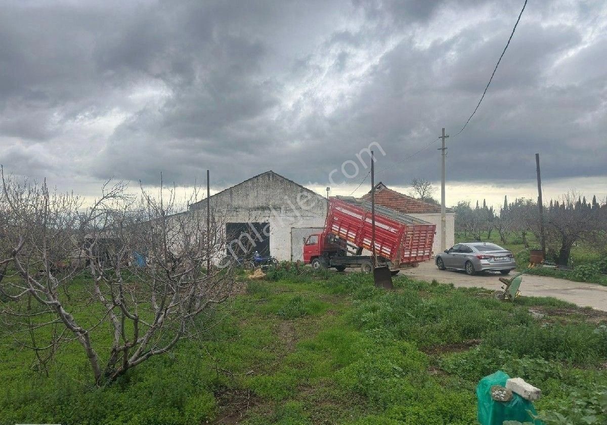 İzmir Halilbeyli Mh Elektirik Suyu Olan 16390m2 Arazi - Görsel 8