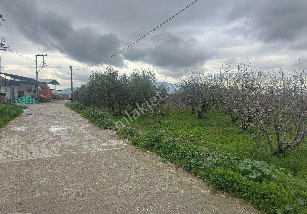 İzmir Halilbeyli Mh Elektirik Suyu Olan 16390m2 Arazi - Görsel 30