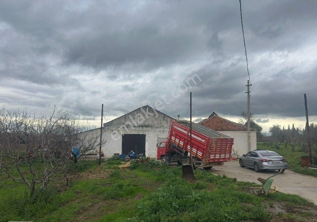 İzmir Halilbeyli Mh Elektirik Suyu Olan 16390m2 Arazi - Görsel 24